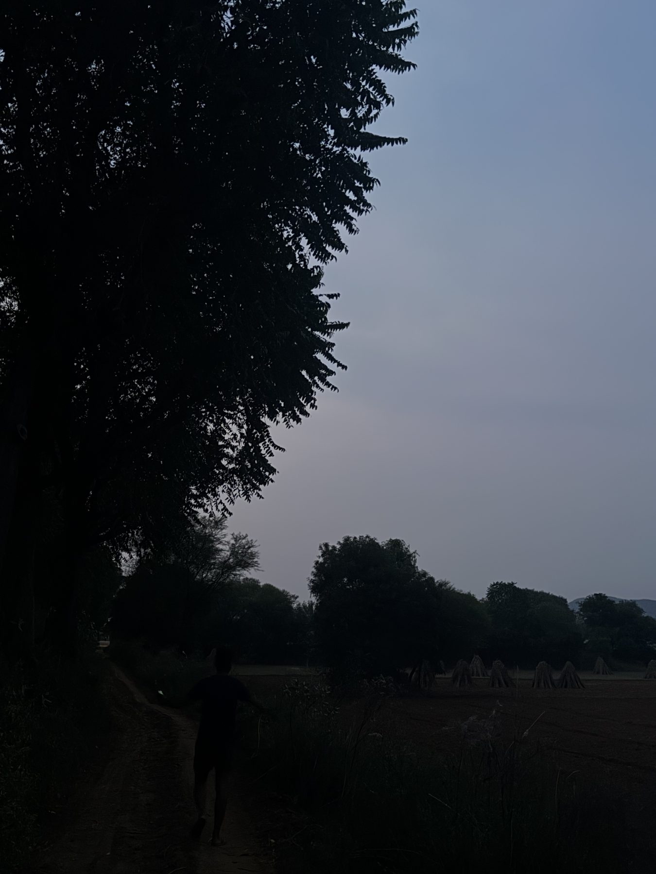 Silhouetted figure on a dirt path through a field at twilight