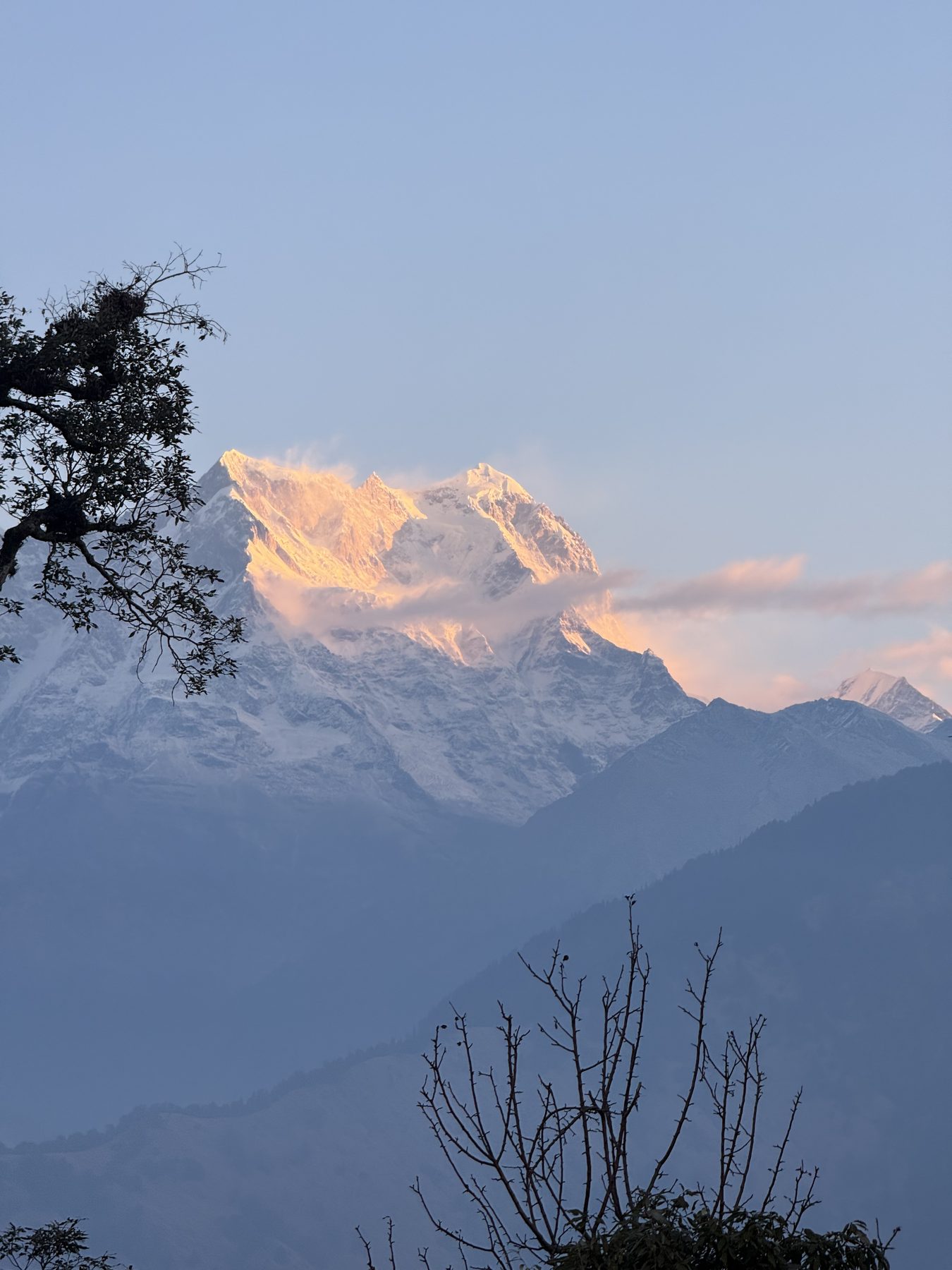 Snow peak glowing golden at sunrise through dark tree branches